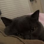 Profile Picture of 付雪冰 (@付雪冰) on Facebook