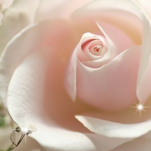 Profile Picture of Sandra Marks (@summer54321) on Poshmark