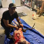 Profile Picture of Kevin Ericksen (@ericksen.kevin) on Instagram
