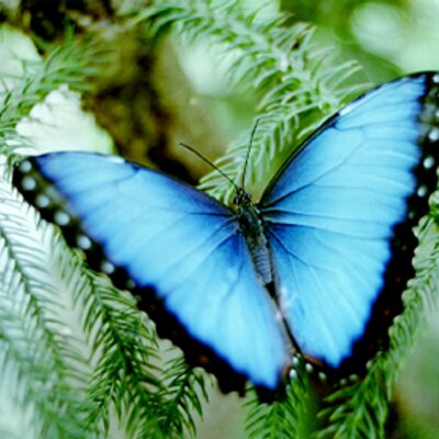 Profile Picture of Sara Eli Hanson (@SaraEliHanson) on Twitter