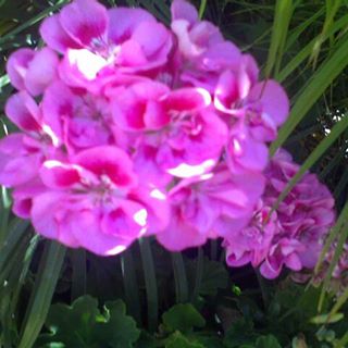 Profile Picture of Gemma Tyler (@Gemma-Tyler) on Facebook