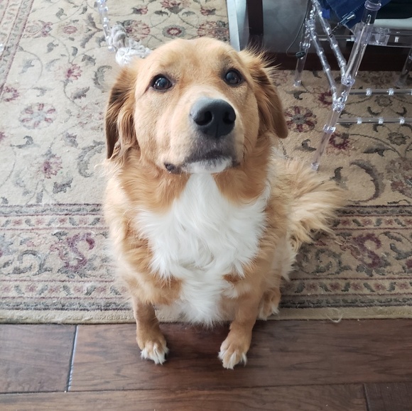 Profile Picture of Arun Anisetty (@anisetty) on Poshmark