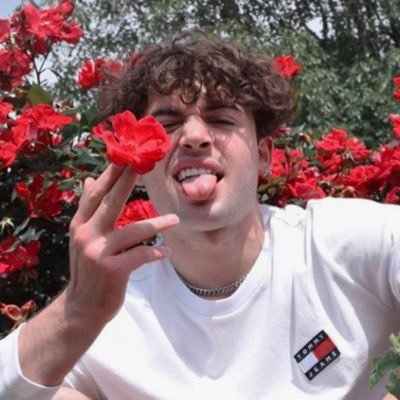 Profile Picture of 𝑮𝒂𝒓𝒓𝒆𝒕𝒕 𝑶𝒗𝒆𝒓𝒃𝒐𝒆 (@notgoverboe) on Twitter