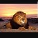 Profile Picture of Devin Dunson (@devin.dunson.549) on Facebook