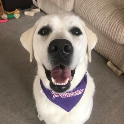 Profile Picture of Ann Jeffries (@annjkimmy) on Twitter