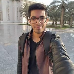 Profile Picture of Robin Alexander Robz (@RobzAlexander) on Twitter