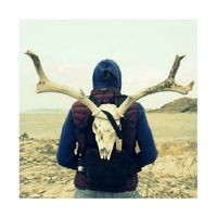 Profile Picture of Tracy Hurd (@tracy-hurd-7) on Quora