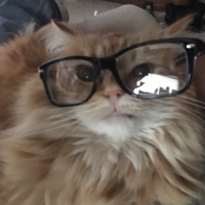 Profile Picture of Chad Cable (@thecabizzle) on Twitter