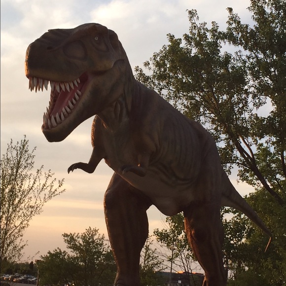 Profile Picture of David Rose (@drose5050) on Poshmark