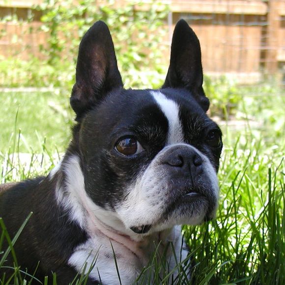 Profile Picture of Carol Kyte (@tilleysaunt) on Poshmark