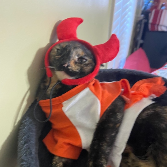 Profile Picture of Alison Manterola (@xoxo_luvvali) on Poshmark