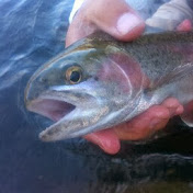 Profile Picture of Darryl Bogart (@dtbogart) on Youtube