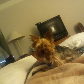 Profile Picture of Deborah Haley (@debhaley) on Pinterest