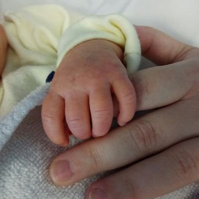 Profile Picture of MiLo (@MiLo_JoS) on Twitter