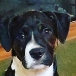 Profile Picture of Bobby Hacker (@bobby.hacker.58) on Instagram