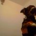 Profile Picture of Daniel Nichter (@daniel.nichter.1) on Facebook