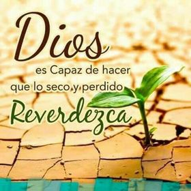 Profile Picture of Yazmin Rivera (@yazminrivera140) on Pinterest