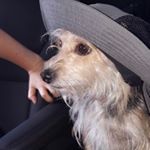 Profile Picture of Tye Heath (@tye.heath) on Instagram