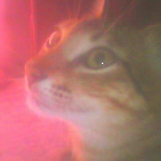 Profile Picture of Arnold Avendano (@arnold.avendano.71) on Facebook