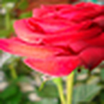 Profile Picture of Ekua Quainoo (@eku-eku) on Flickr