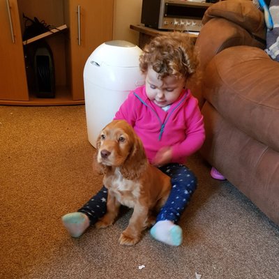 Profile Picture of Richard Heather (@RichardH54321) on Twitter