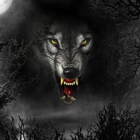 Profile Picture of Alex Boswell (@arkydevil53) on Poshmark