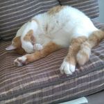 Profile Picture of Cheyenne Proctor (@proctorcheyenne) on Instagram