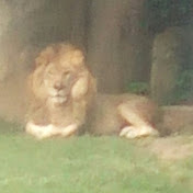 Profile Picture of Haley Castro (@haleycastro3350) on Youtube