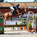 Profile Picture of Yasmine Zerrad 🏇 (@yasmine.zerrad) on Instagram