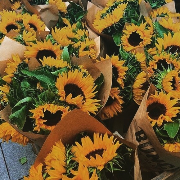 Profile Picture of Haley Morgan (@haleyymor) on Poshmark