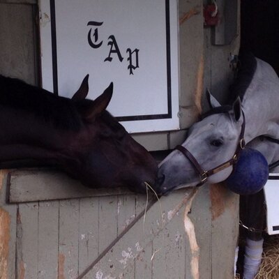 Profile Picture of Spa Spies (@SpaSpies) on Twitter