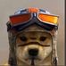 Profile Picture of Robert Bekert (@robert.bekert.7) on Facebook