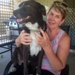 Profile Picture of amanda holliday (@amandaholliday) on Instagram