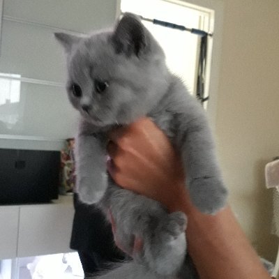 Profile Picture of ANDREW MUNT (@ANDREWMUNT7) on Twitter