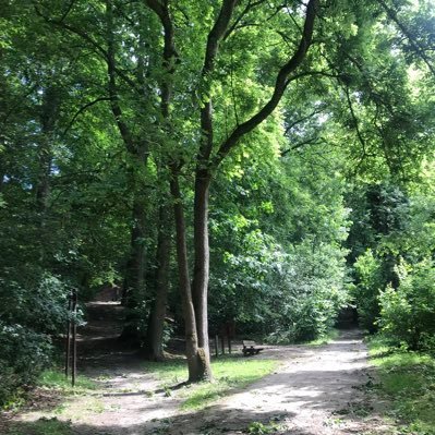 Profile Picture of Connie ZENG (@ConnieZENG1) on Twitter