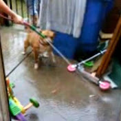 Profile Picture of Pamela Sage (@princessme1987) on Youtube