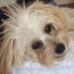 Profile Picture of Nicholas Hutchins (@nicholas._.bxckup) on Instagram