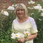 Profile Picture of June Mullins (@mullinsjune) on Instagram