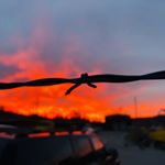 Profile Picture of Tori (@tori_hawk_1212) on Instagram