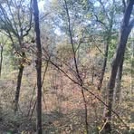 Profile Picture of Kevin Rains (@kevin.rains.563246) on Facebook