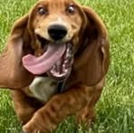 Profile Picture of Craig Reel (@Craig-Reel) on Facebook