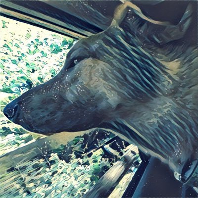 Profile Picture of Matthew Sottile (@mjsottile) on Twitter