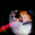Profile Picture of Tyler Guilbeau Jr (@x.lil.yeezy.x) on Instagram