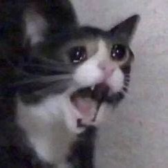 Profile Picture of Razzle (@ToriKinney4) on Twitter