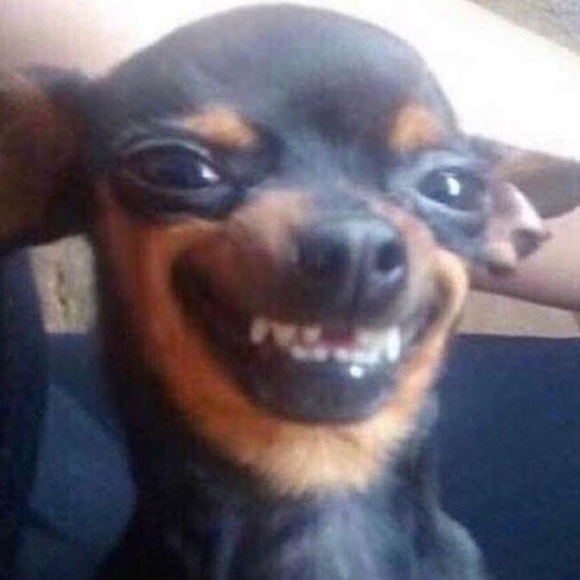 Profile Picture of Leonard Hernandez (@leo1998) on Poshmark