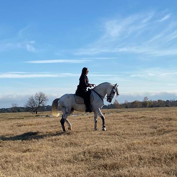 Profile Picture of Graciela Quirós campos (@gracielaqc) on Poshmark