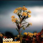 Profile Picture of Mahesh Ramakrishnan (@mahesh.ramakrishnan.543) on Instagram