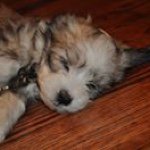 Profile Picture of Barry Zalk (@barryzalk) on Instagram