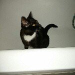 Profile Picture of Saby💞Rene😘 EnzoFabioNikoPietro (@sabinetiger) on Instagram