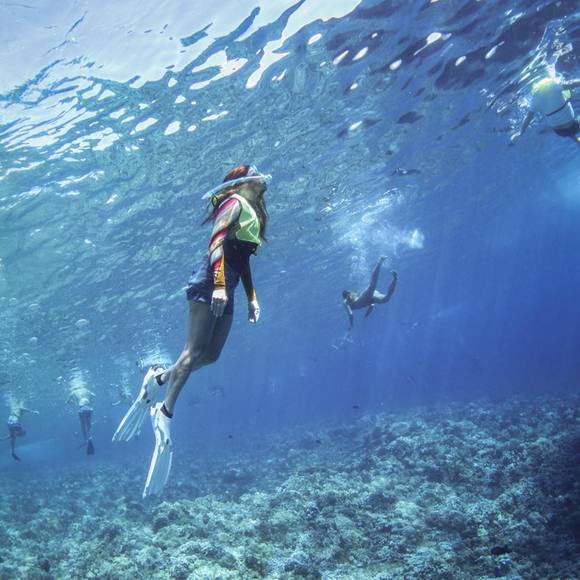 Michelle Kothe - Poshmark Profile Picture of Michelle Kothe (@michellekothe) on Poshmark